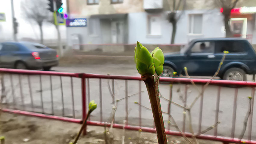 Дождь со снегом прогнозируют синоптики в Камышине сегодня, 18 марта