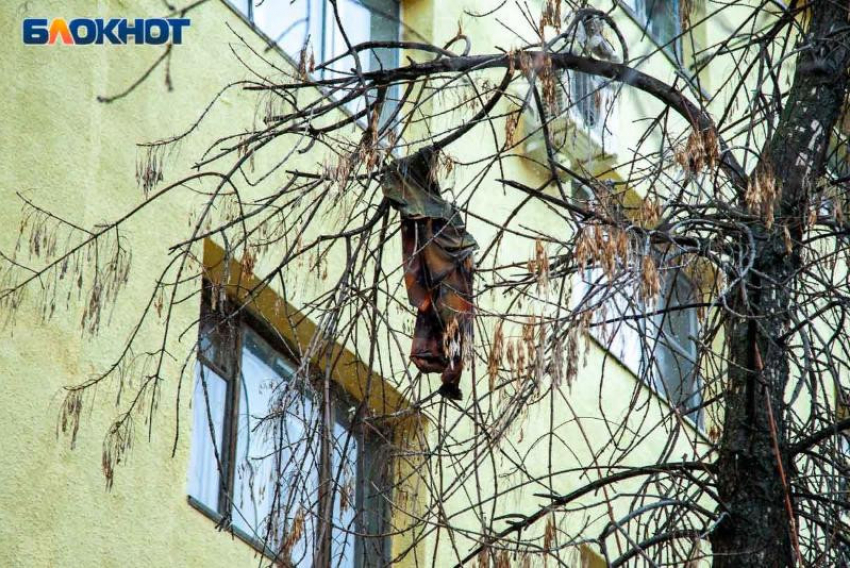 За жизнь 4-летнего выпавшего из окна волжанина борются реаниматологи в Волгограде, - «Блокнот Волжского"