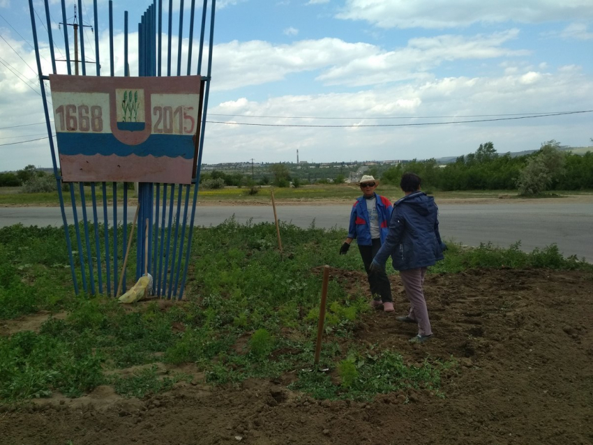 Рабочие «Благоустройства» вдогонку минувшей весне разбивают клумбы в Камышине