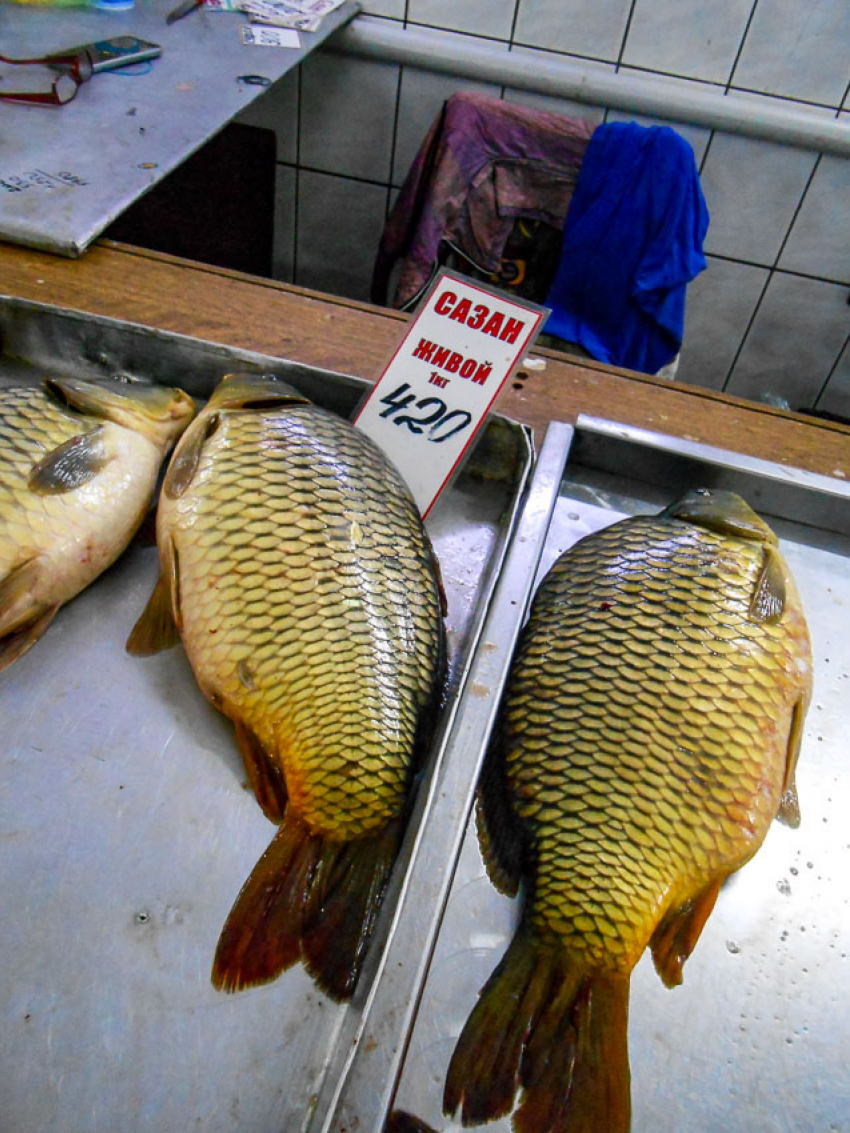 На камышинском рынке сазан приблизился по цене к свинине «на ребрышках"