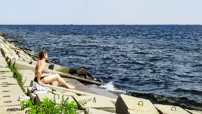 Волгоградскую область накрыла волна фейков о холере в воде  