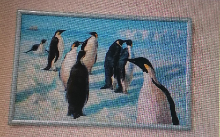 Художественная галерея Камышина представила «Зимний вернисаж» - лирику о «морозном Камышине» с неожиданными пингвинами