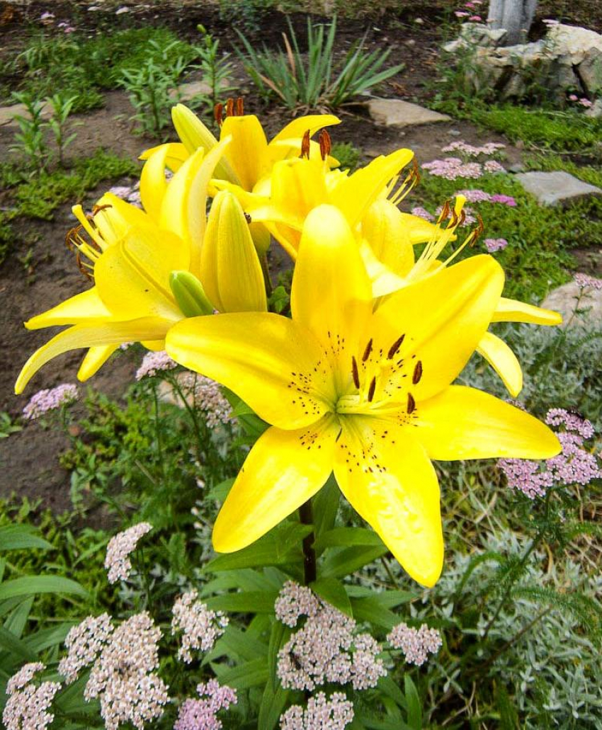 30-градусная жара «заходит» в Камышин