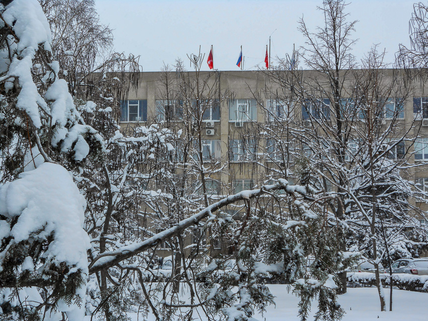 Арбитражный суд назначил заседание по поводу банкротства Камышинского опытного завода, власти молчат