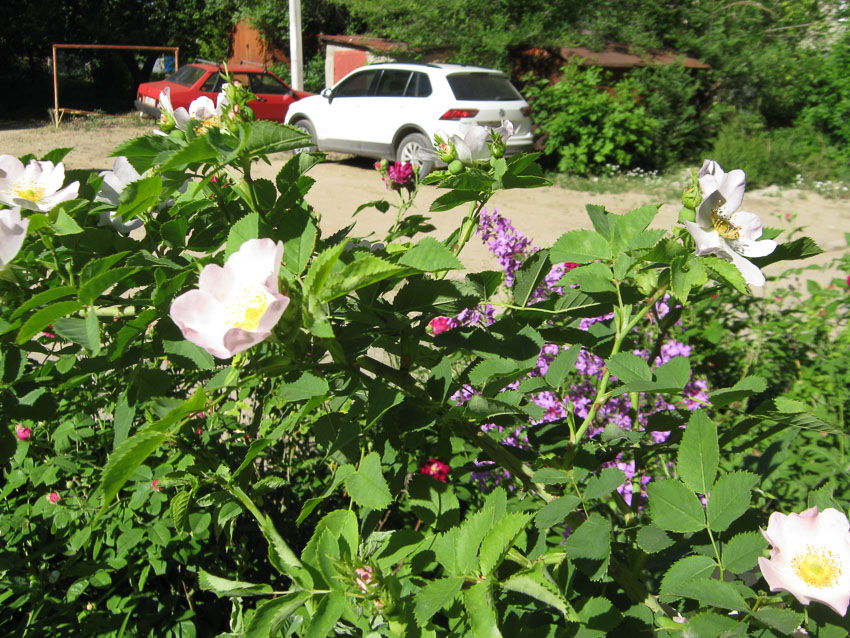 Отключения горячей воды и света захлестнут Камышин завтра, 29 мая
