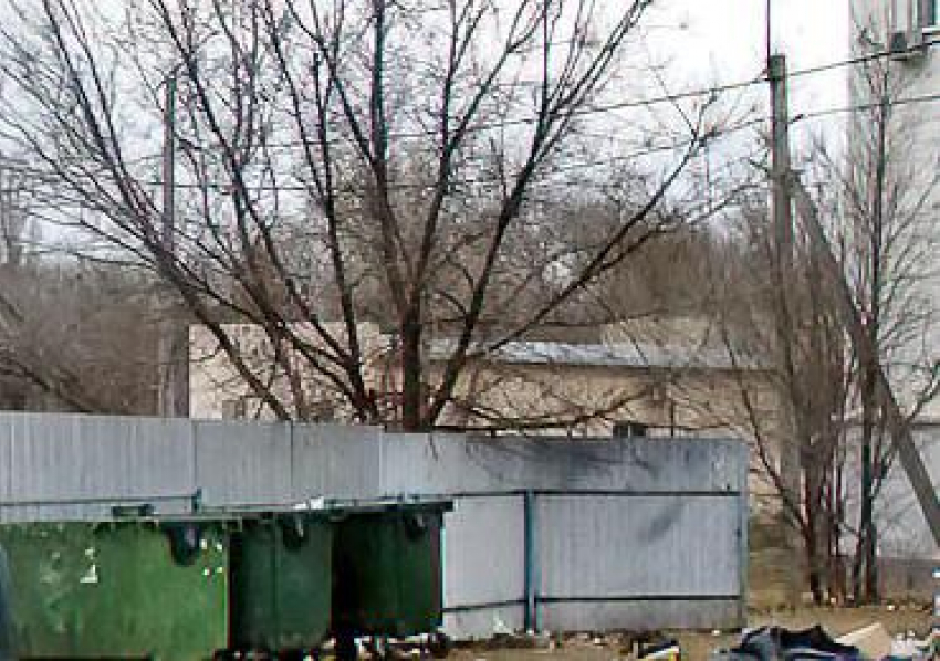 В Камышине подожгли два мусорных контейнера