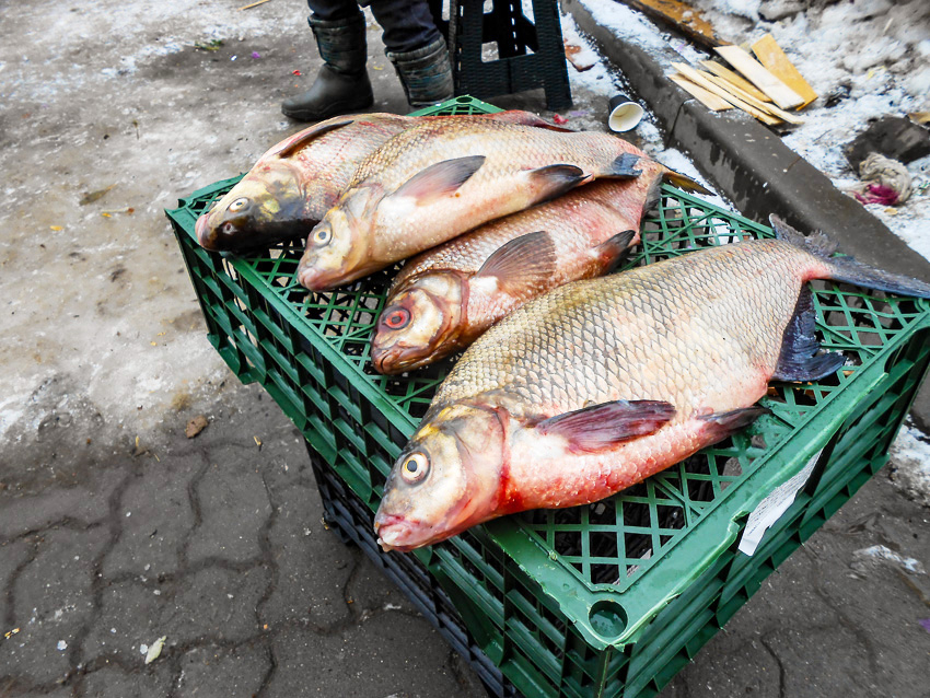 Центральный Банк прокомментировал тенденции в динамике цен на продукты, товары и услуги
