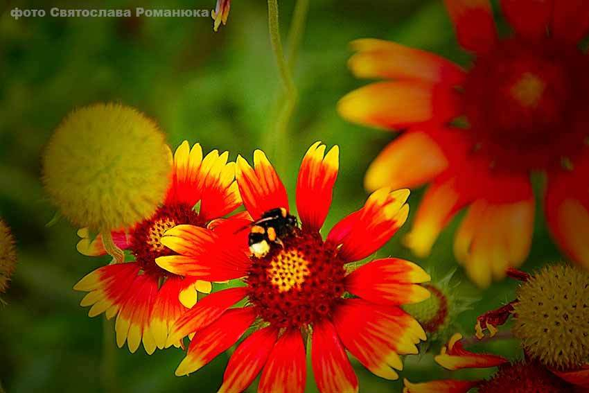 В Камышине наступает, возможно, самый холодный день лета