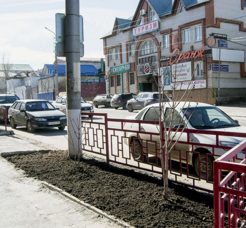 В Камышине «Благоустройство» выпустило на центральные улицы машины-поливалки