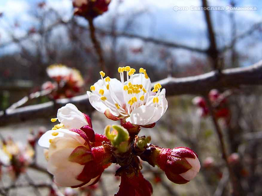 Штормовая пятница в Камышине: и ветер, и солнце, и дождь