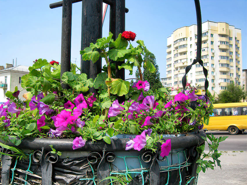 На улицах Некрасова и Давыдова в Камышине выключат свет 11 июня