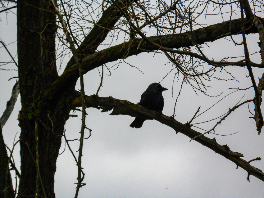Ночь в условиях опасности прилета БПЛА провели жители Волгоградской области сегодня, 23 декабря