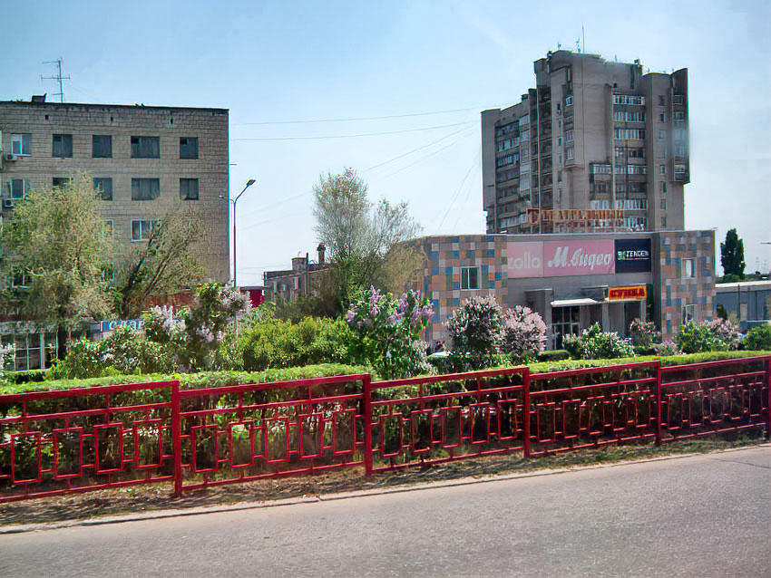 Какой штраф реально «схлопотать» за сорванную ветку сирени