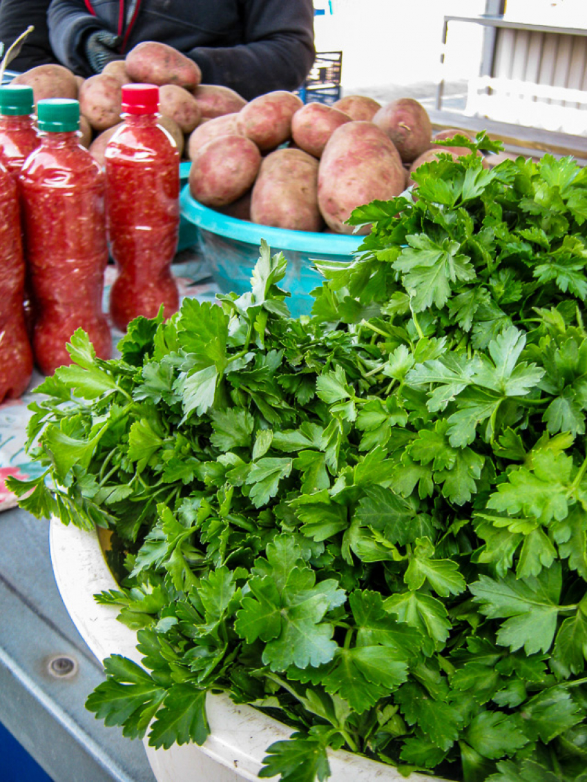 Роспотребнадзор «приказал» камышанам есть «траву"