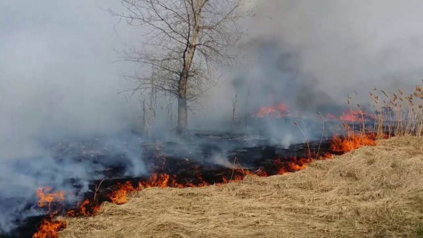 В Камышинском районе сгорело более тысячи квадратных километров  сухой травы