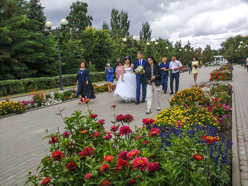 Молодоженам в Волгоградской области предложили выплачивать по 10 тысяч рублей за вступление в брак