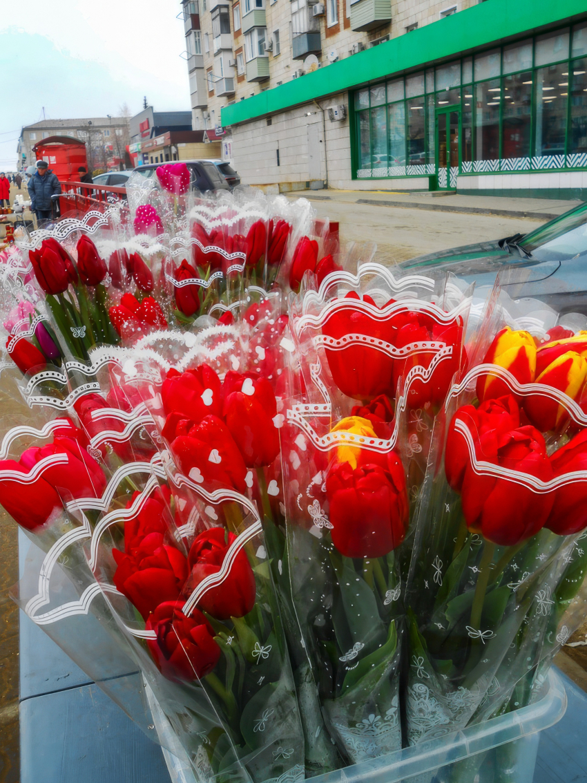 В Камышине «ни с того, ни с сего» начали торговать тюльпанами