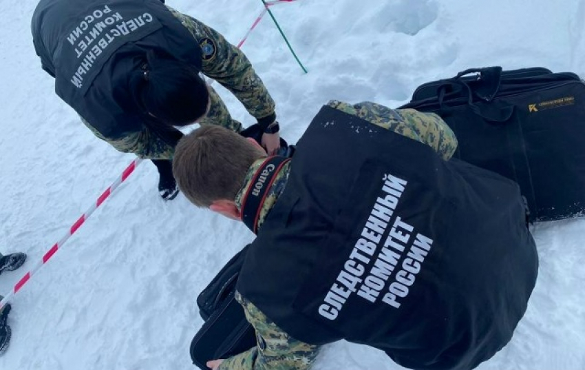 В Следственном управлении СК причиной внезапной смерти упавшего в гололед в Камышинском районе мальчика назвали сердечную недостаточность, а не травму