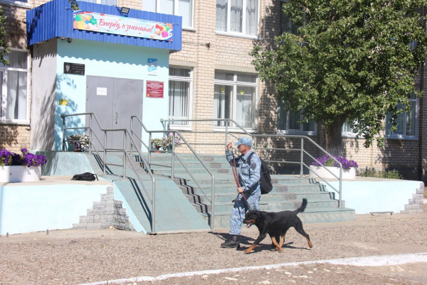 В Камышине по легенде учений в школах и детсадах «обезвреживали» террористов  и бомбу