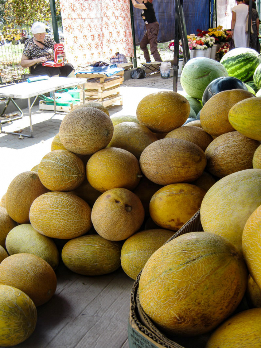 Цены на бахчевые в Камышине пока «заморозились"