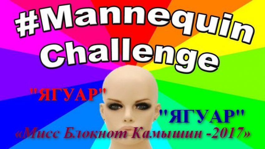 «Мисс блокнот Камышин -2017» и «Манекен челлендж» в магазине «Ягуар»