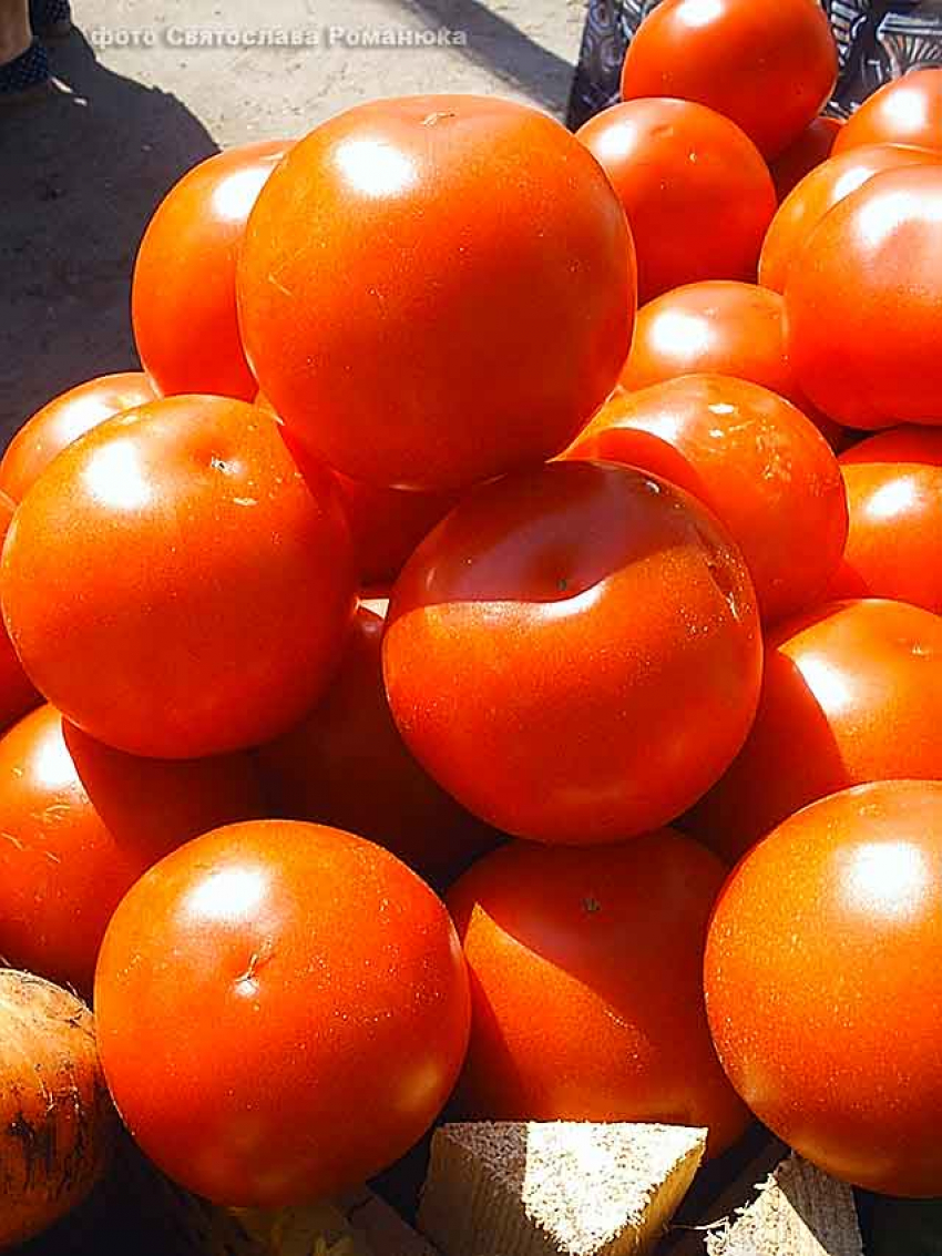 На рынках Камышина появились местные вишни, абрикосы и помидоры по 120 рублей за килограмм