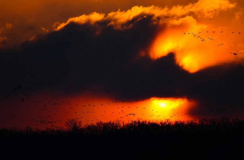 Полицейские обнаружили в одной комнате тело отца, в другой - сына