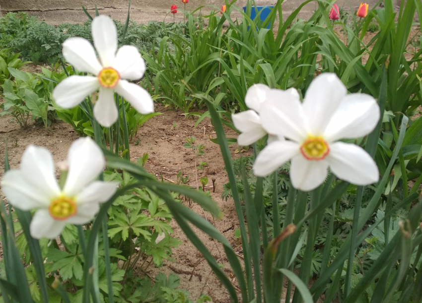 Комфортная освежающая погода ожидает камышан в последний день апреля