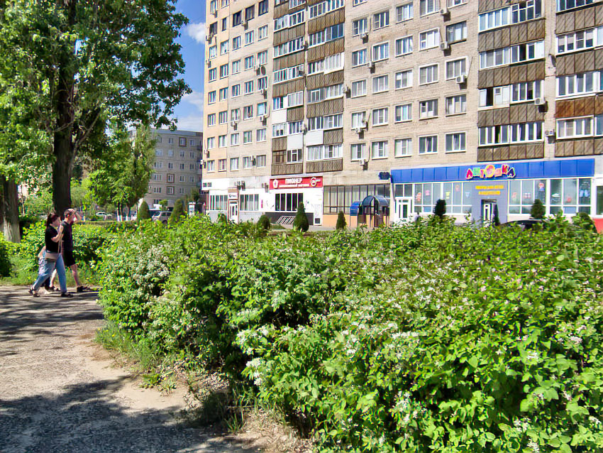 В Камышине за праздники «сломались» подстанции, так что начинаются отключения света