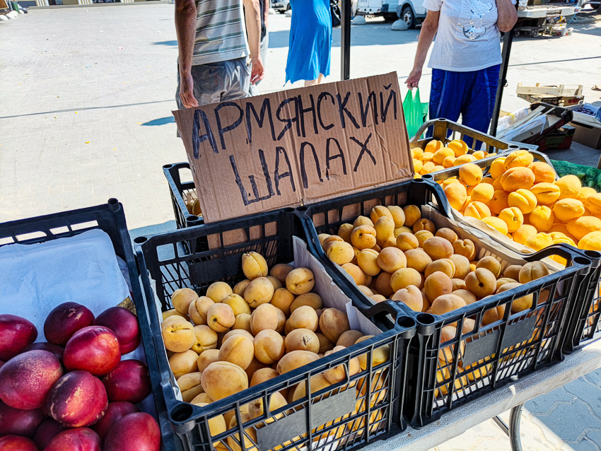 Камышанам предлагают купить шалах - что это такое?