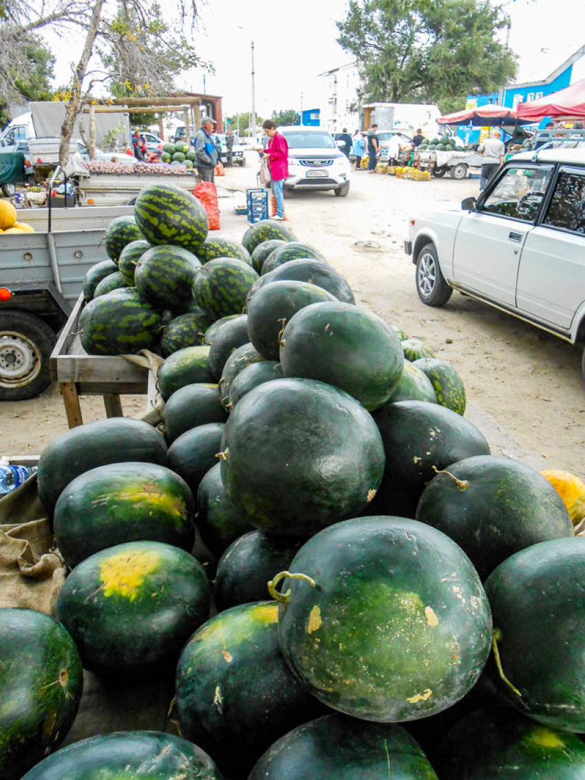 В Камышине арбузы не сильно подорожали с лета