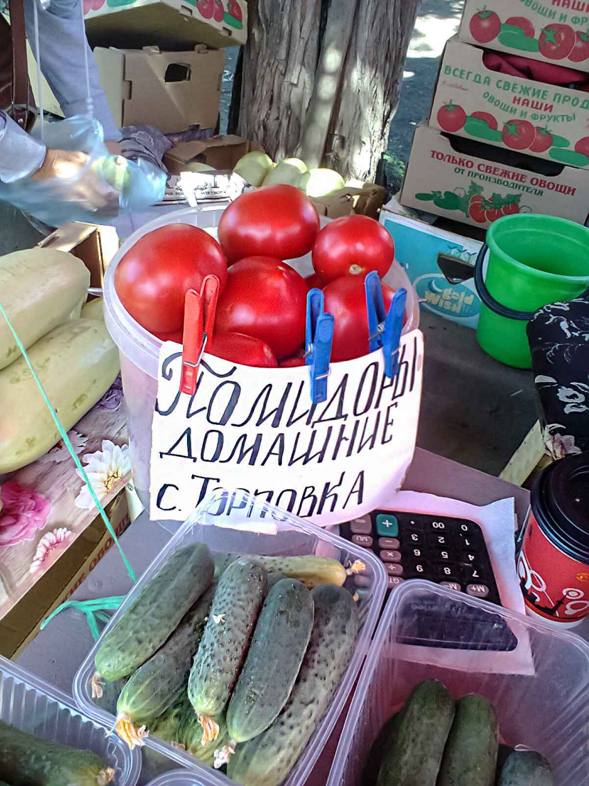 В Камышине на рынках помидоры и огурцы стали дешевле, чем в магазинах