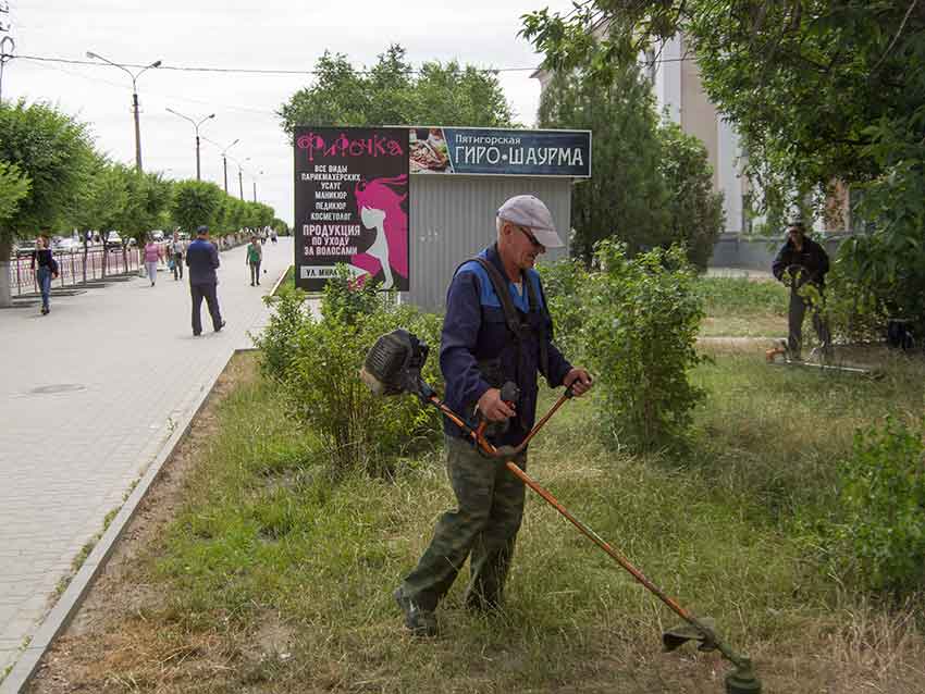 косит.jpg косит.jpg