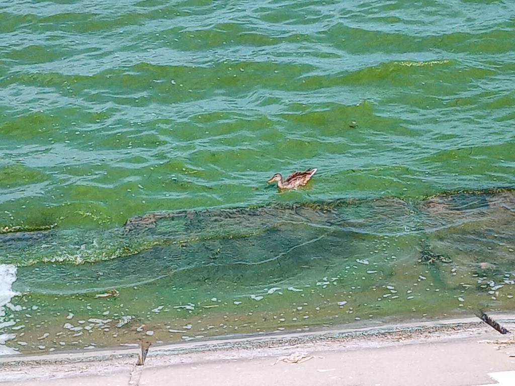 IMG_20220813_121950.jpg