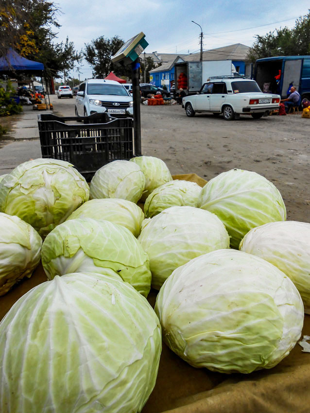 01 (14).jpg 01 (14).jpg