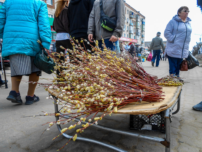 01 (1).jpg 01 (1).jpg