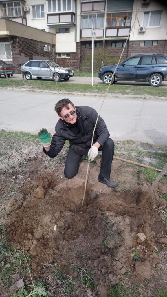 алл.jpg алл.jpg