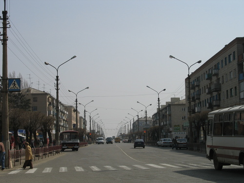 9251056.jpg