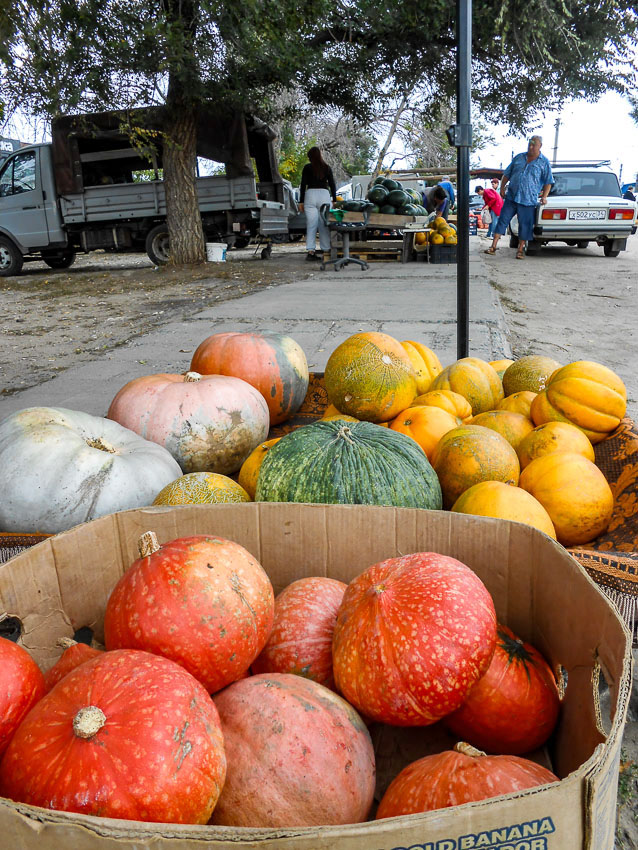 07 (12).jpg 07 (12).jpg