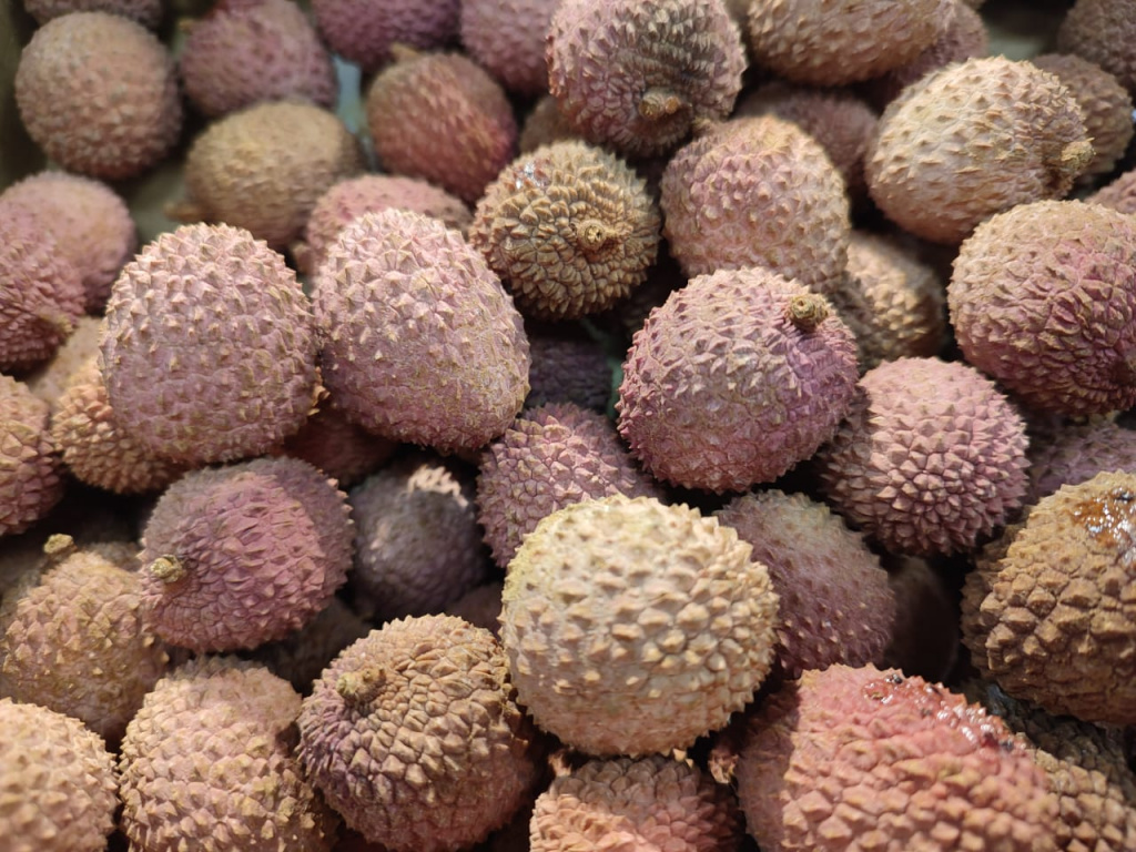 IMG-20260106-WA0002.jpg IMG-20260106-WA0002.jpg