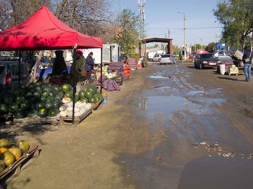 CRW_1633.jpg