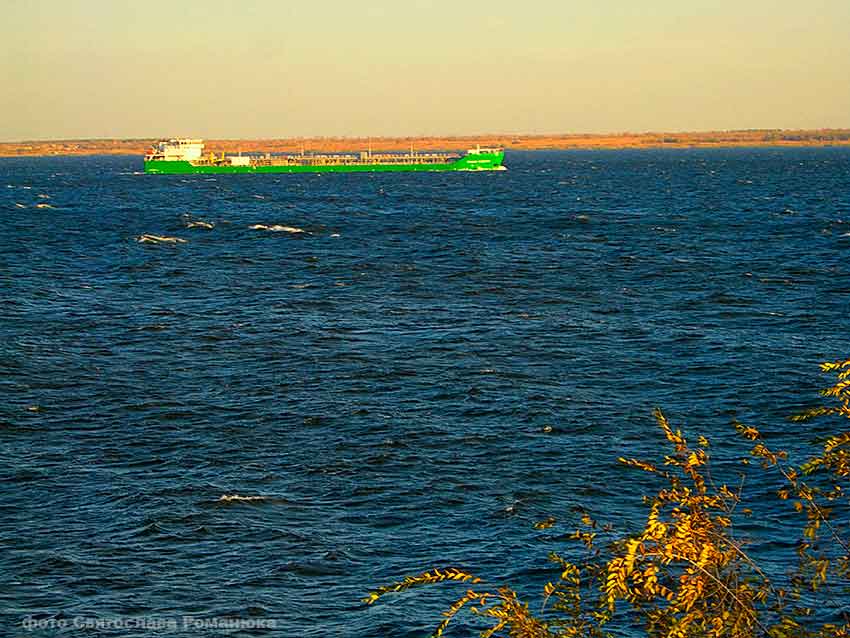 CRW_5511.jpg CRW_5511.jpg